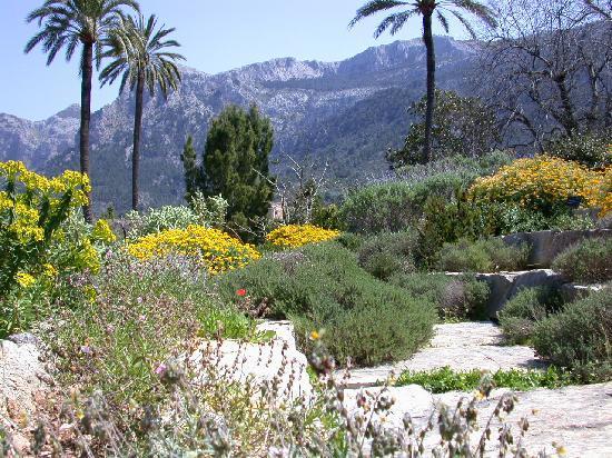 Jardi Botanic de Soller